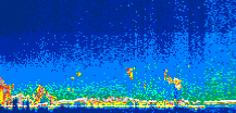 /calipso-imagery/data/BROWSE/production/V5-00/2007-07-18/2007-07-18_13-56-20_V5.00_1_thmb.png image missing