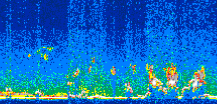 /calipso-imagery/data/BROWSE/production/V5-00/2007-07-18/2007-07-18_15-35-10_V5.00_3_thmb.png image missing