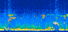 /calipso-imagery/data/BROWSE/production/V5-00/2007-07-19/2007-07-19_01-28-27_V5.00_2_thmb.png image missing