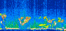 /calipso-imagery/data/BROWSE/production/V5-00/2007-07-19/2007-07-19_01-28-27_V5.00_3_thmb.png image missing