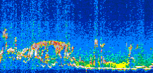 /calipso-imagery/data/BROWSE/production/V5-00/2007-07-19/2007-07-19_06-25-07_V5.00_3_thmb.png image missing