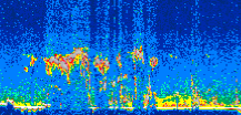 /calipso-imagery/data/BROWSE/production/V5-00/2007-07-19/2007-07-19_17-57-19_V5.00_2_thmb.png image missing