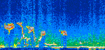 /calipso-imagery/data/BROWSE/production/V5-00/2007-07-19/2007-07-19_17-57-19_V5.00_3_thmb.png image missing