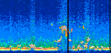 /calipso-imagery/data/BROWSE/production/V5-00/2007-07-19/2007-07-19_22-53-54_V5.00_2_thmb.png image missing