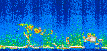 /calipso-imagery/data/BROWSE/production/V5-00/2007-07-19/2007-07-19_22-53-54_V5.00_3_thmb.png image missing