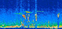/calipso-imagery/data/BROWSE/production/V5-00/2007-07-23/2007-07-23_04-21-19_V5.00_2_thmb.png image missing