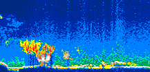 /calipso-imagery/data/BROWSE/production/V5-00/2007-07-23/2007-07-23_06-00-10_V5.00_1_thmb.png image missing