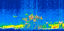 /calipso-imagery/data/BROWSE/production/V5-00/2007-07-23/2007-07-23_12-35-45_V5.00_2_thmb.png image missing