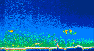 /calipso-imagery/data/BROWSE/production/V5-00/2007-07-23/2007-07-23_17-32-21_V5.00_4_thmb.png image missing