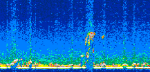 /calipso-imagery/data/BROWSE/production/V5-00/2007-07-23/2007-07-23_22-29-02_V5.00_2_thmb.png image missing
