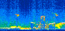 /calipso-imagery/data/BROWSE/production/V5-00/2007-07-29/2007-07-29_13-37-09_V5.00_2_thmb.png image missing