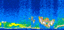 /calipso-imagery/data/BROWSE/production/V5-00/2007-07-29/2007-07-29_13-37-09_V5.00_3_thmb.png image missing