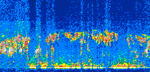 /calipso-imagery/data/BROWSE/production/V5-00/2007-07-31/2007-07-31_01-52-29_V5.00_2_thmb.png image missing