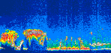 /calipso-imagery/data/BROWSE/production/V5-00/2007-07-31/2007-07-31_05-10-14_V5.00_1_thmb.png image missing