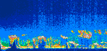 /calipso-imagery/data/BROWSE/production/V5-00/2007-07-31/2007-07-31_21-39-06_V5.00_1_thmb.png image missing