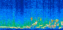 /calipso-imagery/data/BROWSE/production/V5-00/2007-07-31/2007-07-31_21-39-06_V5.00_3_thmb.png image missing