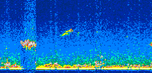 /calipso-imagery/data/BROWSE/production/V5-00/2007-07-31/2007-07-31_23-17-56_V5.00_2_thmb.png image missing