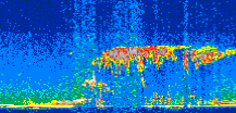 /calipso-imagery/data/BROWSE/production/V5-00/2007-08-01/2007-08-01_04-14-37_V5.00_2_thmb.png image missing