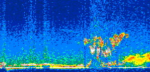 /calipso-imagery/data/BROWSE/production/V5-00/2007-08-01/2007-08-01_14-07-53_V5.00_2_thmb.png image missing