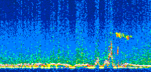 /calipso-imagery/data/BROWSE/production/V5-00/2007-08-01/2007-08-01_20-43-24_V5.00_2_thmb.png image missing