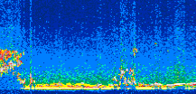 /calipso-imagery/data/BROWSE/production/V5-00/2007-08-01/2007-08-01_22-22-14_V5.00_2_thmb.png image missing