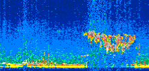 /calipso-imagery/data/BROWSE/production/V5-00/2007-08-04/2007-08-04_01-27-31_V5.00_2_thmb.png image missing