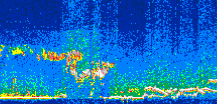 /calipso-imagery/data/BROWSE/production/V5-00/2007-08-04/2007-08-04_03-06-21_V5.00_3_thmb.png image missing