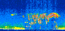 /calipso-imagery/data/BROWSE/production/V5-00/2007-08-04/2007-08-04_04-45-17_V5.00_2_thmb.png image missing