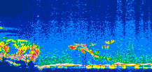/calipso-imagery/data/BROWSE/production/V5-00/2007-08-04/2007-08-04_09-41-52_V5.00_1_thmb.png image missing