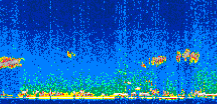 /calipso-imagery/data/BROWSE/production/V5-00/2007-08-04/2007-08-04_21-14-04_V5.00_2_thmb.png image missing
