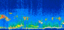 /calipso-imagery/data/BROWSE/production/V5-00/2007-08-06/2007-08-06_02-53-52_V5.00_3_thmb.png image missing