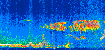 /calipso-imagery/data/BROWSE/production/V5-00/2007-08-06/2007-08-06_07-50-33_V5.00_2_thmb.png image missing