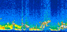 /calipso-imagery/data/BROWSE/production/V5-00/2007-08-06/2007-08-06_12-47-09_V5.00_3_thmb.png image missing