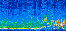 /calipso-imagery/data/BROWSE/production/V5-00/2007-08-06/2007-08-06_21-01-35_V5.00_3_thmb.png image missing