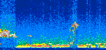 /calipso-imagery/data/BROWSE/production/V5-00/2007-08-06/2007-08-06_22-40-25_V5.00_2_thmb.png image missing
