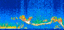 /calipso-imagery/data/BROWSE/production/V5-00/2007-08-07/2007-08-07_00-19-20_V5.00_3_thmb.png image missing
