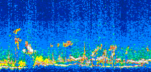 /calipso-imagery/data/BROWSE/production/V5-00/2007-08-07/2007-08-07_05-15-56_V5.00_3_thmb.png image missing