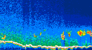 /calipso-imagery/data/BROWSE/production/V5-00/2007-08-07/2007-08-07_13-30-22_V5.00_4_thmb.png image missing