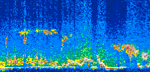 /calipso-imagery/data/BROWSE/production/V5-00/2007-08-07/2007-08-07_18-26-58_V5.00_3_thmb.png image missing