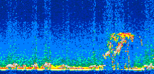/calipso-imagery/data/BROWSE/production/V5-00/2007-08-07/2007-08-07_21-44-43_V5.00_2_thmb.png image missing