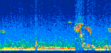 /calipso-imagery/data/BROWSE/production/V5-00/2007-08-07/2007-08-07_23-23-38_V5.00_2_thmb.png image missing