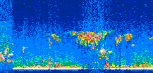 /calipso-imagery/data/BROWSE/production/V5-00/2007-08-08/2007-08-08_01-02-28_V5.00_2_thmb.png image missing