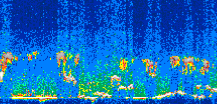 /calipso-imagery/data/BROWSE/production/V5-00/2007-08-08/2007-08-08_02-41-24_V5.00_3_thmb.png image missing