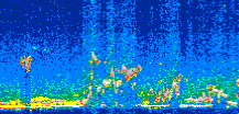 /calipso-imagery/data/BROWSE/production/V5-00/2007-08-08/2007-08-08_19-10-11_V5.00_3_thmb.png image missing
