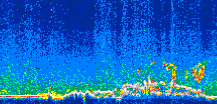/calipso-imagery/data/BROWSE/production/V5-00/2007-08-08/2007-08-08_20-49-01_V5.00_3_thmb.png image missing