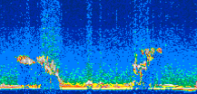 /calipso-imagery/data/BROWSE/production/V5-00/2007-08-08/2007-08-08_22-27-56_V5.00_2_thmb.png image missing