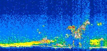 /calipso-imagery/data/BROWSE/production/V5-00/2007-08-19/2007-08-19_12-15-09_V5.00_2_thmb.png image missing