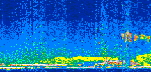 /calipso-imagery/data/BROWSE/production/V5-00/2007-08-19/2007-08-19_13-53-59_V5.00_2_thmb.png image missing