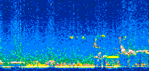 /calipso-imagery/data/BROWSE/production/V5-00/2007-08-19/2007-08-19_15-32-54_V5.00_2_thmb.png image missing