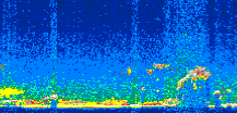 /calipso-imagery/data/BROWSE/production/V5-00/2007-08-19/2007-08-19_15-32-54_V5.00_3_thmb.png image missing